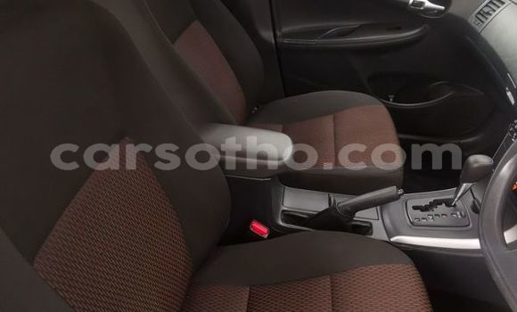 Buy Used Toyota Corolla White Car in Mohale's Hoek in Mohale's Hoek Buy Used Toyota Corolla White Car in Mohale's Hoek in Mohale's Hoek