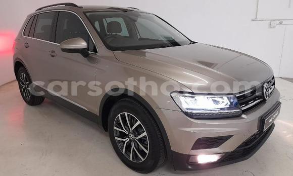 Acheter Occasion Voiture Volkswagen Tiguan Beige à Hlotse, Leribe Acheter Occasion Voiture Volkswagen Tiguan Beige à Hlotse, Leribe