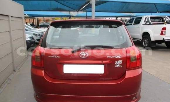 Acheter Occasion Voiture Toyota Runx Rouge à Maseru, Maseru Acheter Occasion Voiture Toyota Runx Rouge à Maseru, Maseru