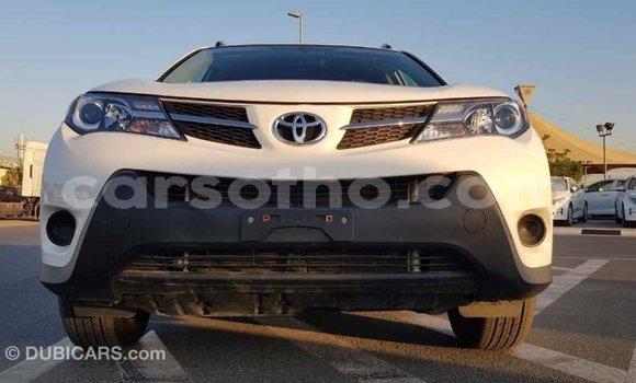 Sayi Imported Toyota RAV4 White Mota in Import - Dubai a Maseru Sayi Imported Toyota RAV4 White Mota in Import - Dubai a Maseru