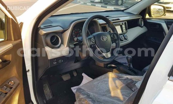 Sayi Imported Toyota RAV4 White Mota in Import - Dubai a Maseru Sayi Imported Toyota RAV4 White Mota in Import - Dubai a Maseru