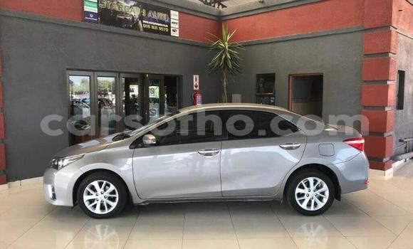 Buy Used Toyota Corolla Other Car in Maseru in Maseru Buy Used Toyota Corolla Other Car in Maseru in Maseru