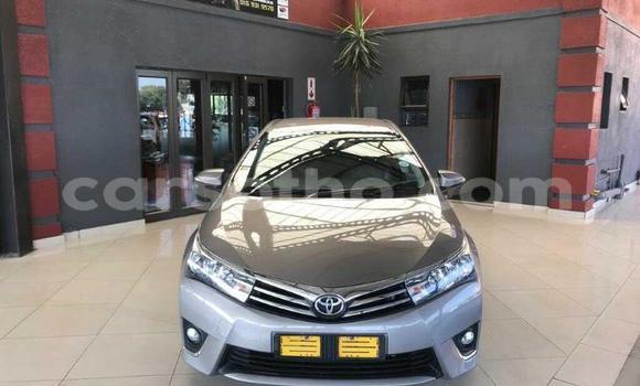 Buy Used Toyota Corolla Other Car in Maseru in Maseru Buy Used Toyota Corolla Other Car in Maseru in Maseru