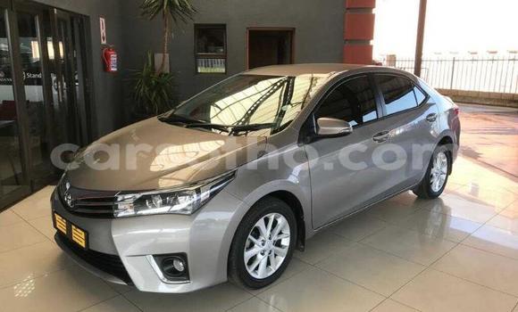 Buy Used Toyota Corolla Other Car in Maseru in Maseru Buy Used Toyota Corolla Other Car in Maseru in Maseru