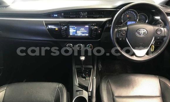 Buy Used Toyota Corolla Other Car in Maseru in Maseru Buy Used Toyota Corolla Other Car in Maseru in Maseru