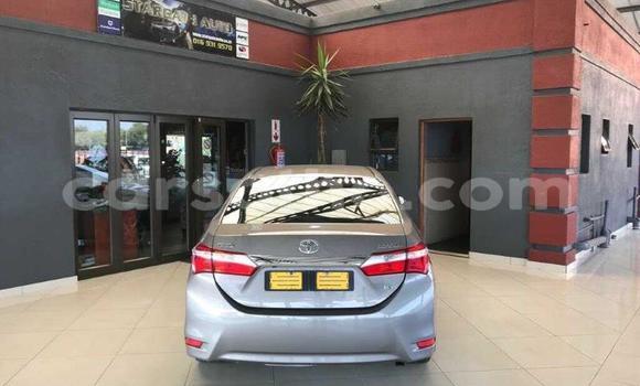 Buy Used Toyota Corolla Other Car in Maseru in Maseru Buy Used Toyota Corolla Other Car in Maseru in Maseru