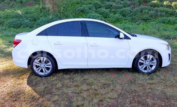 اشتري مستعمل Chevrolet Cruze White سيارة في Maseru في Maseru اشتري مستعمل Chevrolet Cruze White سيارة في Maseru في Maseru