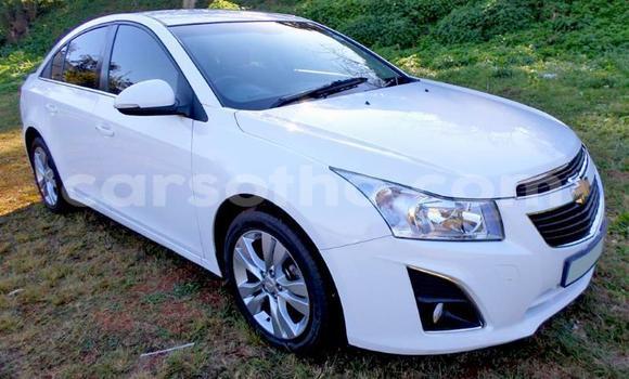 اشتري مستعمل Chevrolet Cruze White سيارة في Maseru في Maseru اشتري مستعمل Chevrolet Cruze White سيارة في Maseru في Maseru