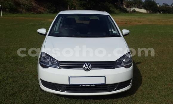 اشتري مستعمل Volkswagen Polo White سيارة في Mafeteng في Mafeteng اشتري مستعمل Volkswagen Polo White سيارة في Mafeteng في Mafeteng