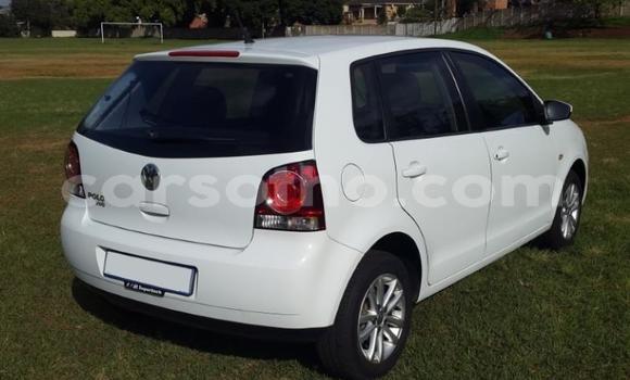 اشتري مستعمل Volkswagen Polo White سيارة في Mafeteng في Mafeteng اشتري مستعمل Volkswagen Polo White سيارة في Mafeteng في Mafeteng