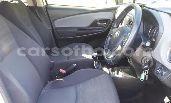 اشتري مستعمل Toyota Yaris White سيارة في Maputsoa في Leribe اشتري مستعمل Toyota Yaris White سيارة في Maputsoa في Leribe