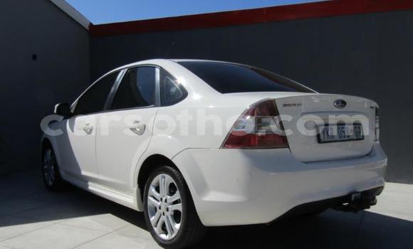 Buy Used Ford Focus White Car in Maseru in Maseru Buy Used Ford Focus White Car in Maseru in Maseru