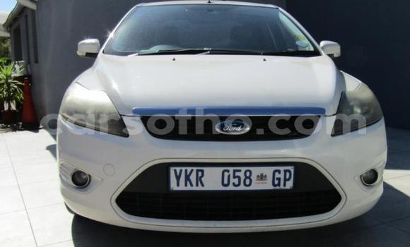 Buy Used Ford Focus White Car in Maseru in Maseru Buy Used Ford Focus White Car in Maseru in Maseru