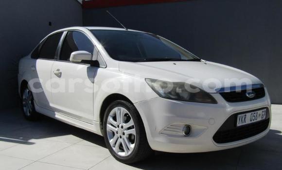 Buy Used Ford Focus White Car in Maseru in Maseru Buy Used Ford Focus White Car in Maseru in Maseru