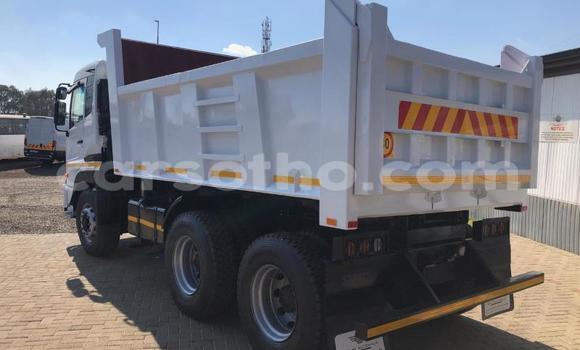 اشتري مستعمل Nissan UD White شاحنة في Maseru في Maseru اشتري مستعمل Nissan UD White شاحنة في Maseru في Maseru