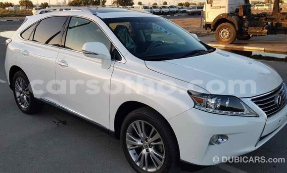 Buy Import Lexus RX 350 White Car in Import - Dubai in Maseru Buy Import Lexus RX 350 White Car in Import - Dubai in Maseru