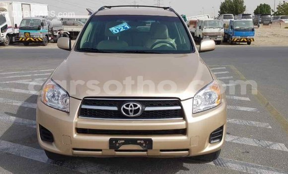 Buy Import Toyota RAV4 Other Car in Import - Dubai in Maseru Buy Import Toyota RAV4 Other Car in Import - Dubai in Maseru