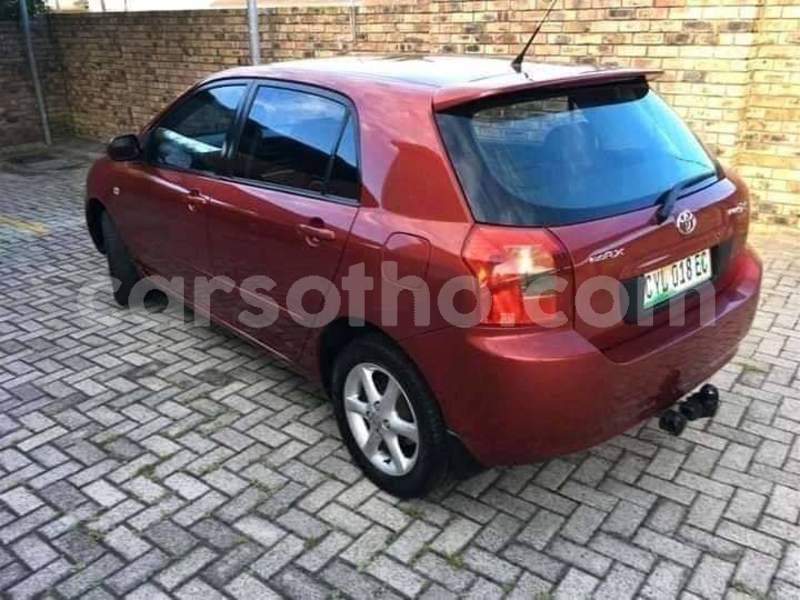 Big with watermark toyota runx maseru maseru 22255