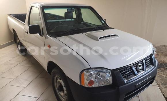 Buy Used Isuzu D–MAX White Car in Maseru in Maseru Buy Used Isuzu D–MAX White Car in Maseru in Maseru