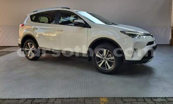 Sayi Na hannu Toyota RAV4 White Mota in Butha Buthe a Butha-Buthe Sayi Na hannu Toyota RAV4 White Mota in Butha Buthe a Butha-Buthe