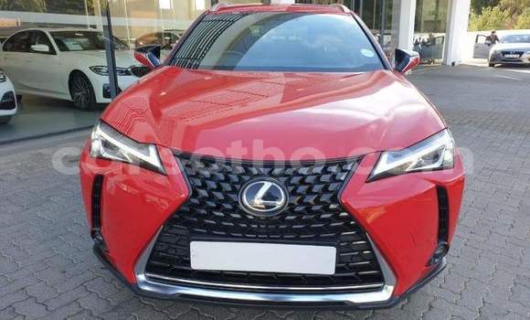 Acheter Occasion Voiture Lexus UX Rouge à Roma, Maseru Acheter Occasion Voiture Lexus UX Rouge à Roma, Maseru