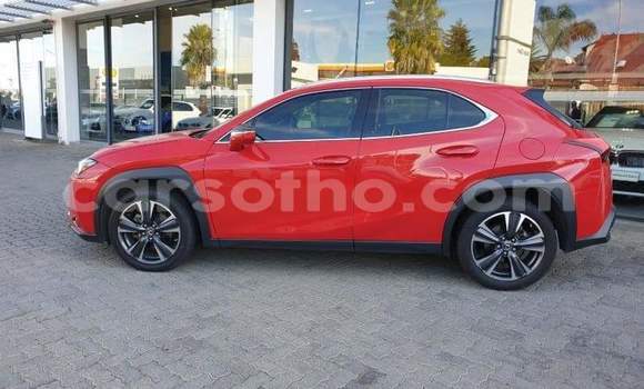 Acheter Occasion Voiture Lexus UX Rouge à Roma, Maseru Acheter Occasion Voiture Lexus UX Rouge à Roma, Maseru