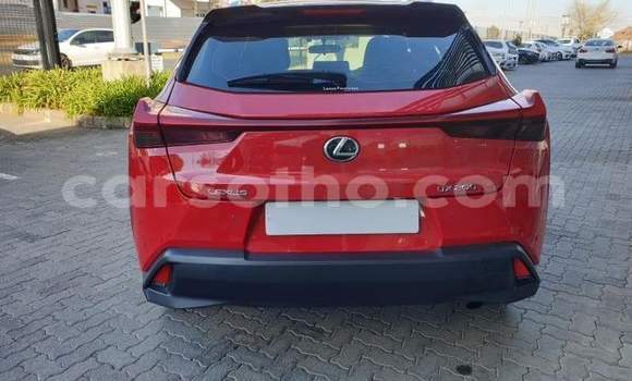Acheter Occasion Voiture Lexus UX Rouge à Roma, Maseru Acheter Occasion Voiture Lexus UX Rouge à Roma, Maseru