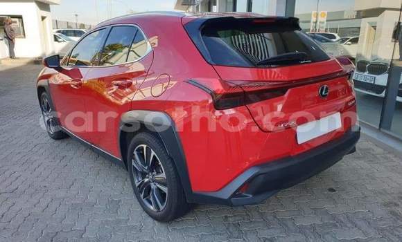 Acheter Occasion Voiture Lexus UX Rouge à Roma, Maseru Acheter Occasion Voiture Lexus UX Rouge à Roma, Maseru
