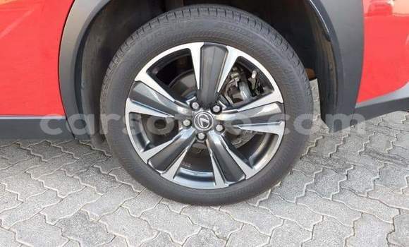 Acheter Occasion Voiture Lexus UX Rouge à Roma, Maseru Acheter Occasion Voiture Lexus UX Rouge à Roma, Maseru