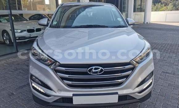 Sayi Na hannu Hyundai Tucson Silver Mota in Mohale's Hoek a Mohale's Hoek Sayi Na hannu Hyundai Tucson Silver Mota in Mohale's Hoek a Mohale's Hoek