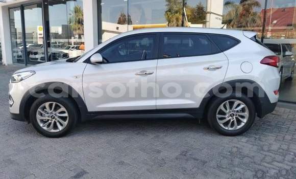 Sayi Na hannu Hyundai Tucson Silver Mota in Mohale's Hoek a Mohale's Hoek Sayi Na hannu Hyundai Tucson Silver Mota in Mohale's Hoek a Mohale's Hoek