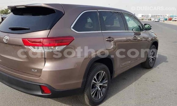 Buy Import Toyota Highlander Brown Car in Import - Dubai in Maseru Buy Import Toyota Highlander Brown Car in Import - Dubai in Maseru