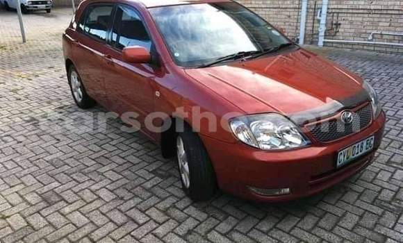 Acheter Occasion Voiture Toyota Runx Rouge à Maseru, Maseru Acheter Occasion Voiture Toyota Runx Rouge à Maseru, Maseru