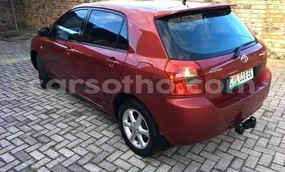 Acheter Occasion Voiture Toyota Runx Rouge à Maseru, Maseru Acheter Occasion Voiture Toyota Runx Rouge à Maseru, Maseru
