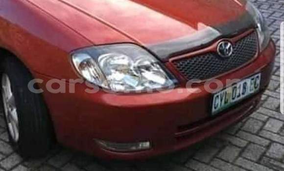 Acheter Occasion Voiture Toyota Runx Rouge à Maseru, Maseru Acheter Occasion Voiture Toyota Runx Rouge à Maseru, Maseru