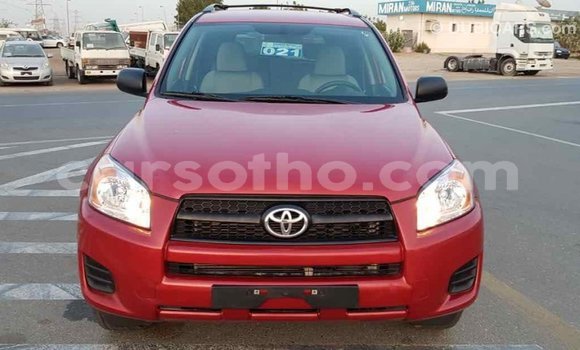 Buy Import Toyota RAV4 Red Car in Import - Dubai in Maseru Buy Import Toyota RAV4 Red Car in Import - Dubai in Maseru