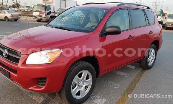 Buy Import Toyota RAV4 Red Car in Import - Dubai in Maseru Buy Import Toyota RAV4 Red Car in Import - Dubai in Maseru