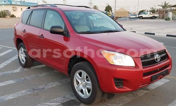 Buy Import Toyota RAV4 Red Car in Import - Dubai in Maseru Buy Import Toyota RAV4 Red Car in Import - Dubai in Maseru