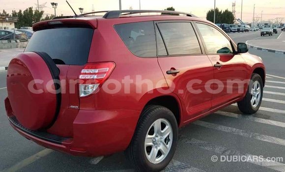 Buy Import Toyota RAV4 Red Car in Import - Dubai in Maseru Buy Import Toyota RAV4 Red Car in Import - Dubai in Maseru