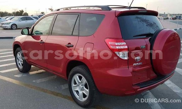 Buy Import Toyota RAV4 Red Car in Import - Dubai in Maseru Buy Import Toyota RAV4 Red Car in Import - Dubai in Maseru