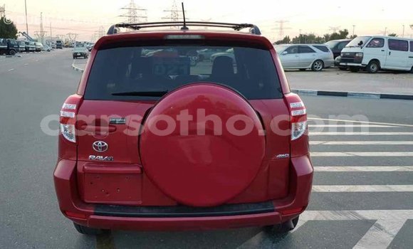 Buy Import Toyota RAV4 Red Car in Import - Dubai in Maseru Buy Import Toyota RAV4 Red Car in Import - Dubai in Maseru