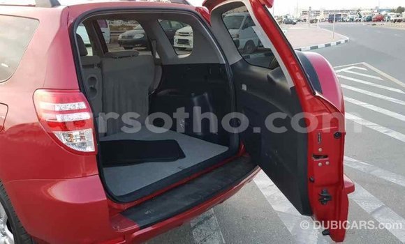 Buy Import Toyota RAV4 Red Car in Import - Dubai in Maseru Buy Import Toyota RAV4 Red Car in Import - Dubai in Maseru