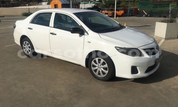 Buy Used Toyota Corolla White Car in Maseru in Maseru Buy Used Toyota Corolla White Car in Maseru in Maseru
