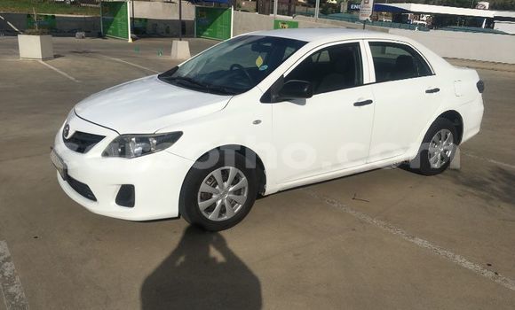 Buy Used Toyota Corolla White Car in Maseru in Maseru Buy Used Toyota Corolla White Car in Maseru in Maseru