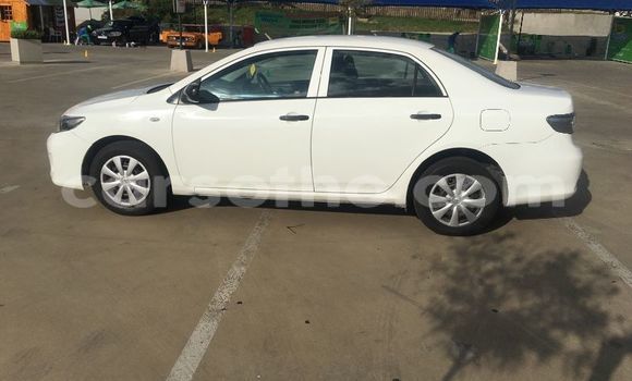 Buy Used Toyota Corolla White Car in Maseru in Maseru Buy Used Toyota Corolla White Car in Maseru in Maseru