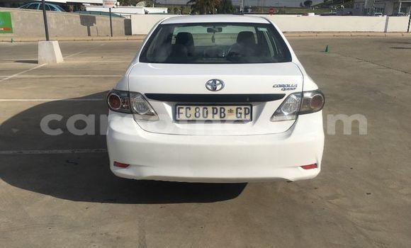 Buy Used Toyota Corolla White Car in Maseru in Maseru Buy Used Toyota Corolla White Car in Maseru in Maseru