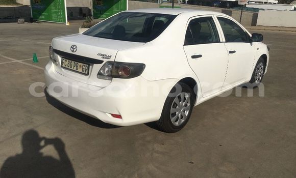 Buy Used Toyota Corolla White Car in Maseru in Maseru Buy Used Toyota Corolla White Car in Maseru in Maseru