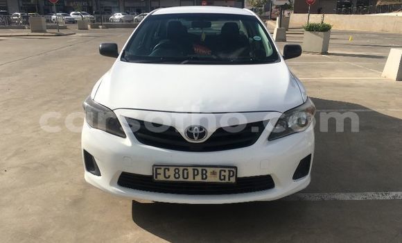 Buy Used Toyota Corolla White Car in Maseru in Maseru Buy Used Toyota Corolla White Car in Maseru in Maseru