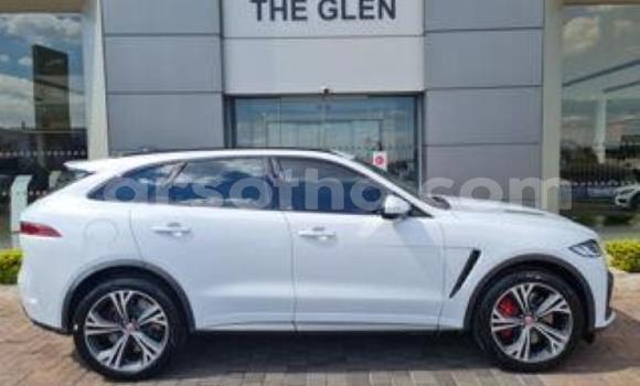 Acheter Occasion Voiture Jaguar Mark 2 Blanc à Maseru, Maseru Acheter Occasion Voiture Jaguar Mark 2 Blanc à Maseru, Maseru