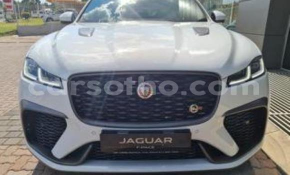 Acheter Occasion Voiture Jaguar Mark 2 Blanc à Maseru, Maseru Acheter Occasion Voiture Jaguar Mark 2 Blanc à Maseru, Maseru